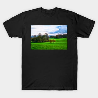 Autumn Countryside Scenery - Field & Trees T-Shirt